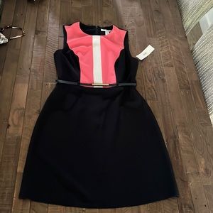 NWT Women’s Sleeveless Dress